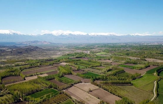 Özel ağaçlandırma yapmak isteyene devletten arazi desteği!