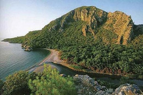 Antalya Kumluca'da 1.5 milyon TL'ye icradan satılık arsa!