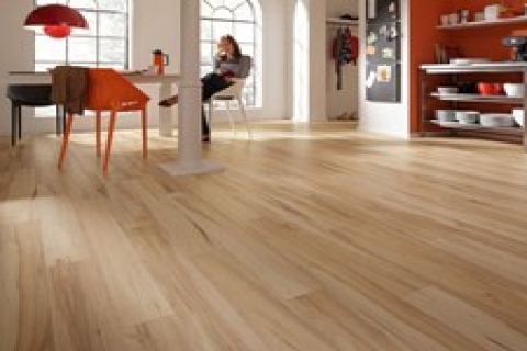 Meister Parke, Mavi Melek belgesiyle Türkiye'de!