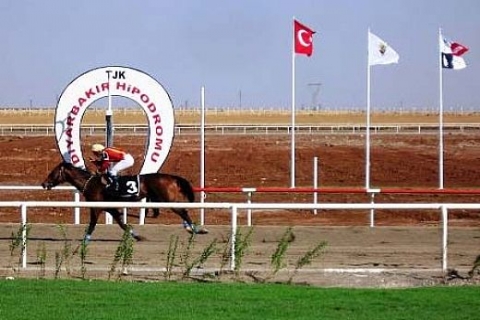 Güneydoğu'nun Veli Efendi'si için Diyarbakır Hipodromu'na 5 milyon TL ayrıldı!