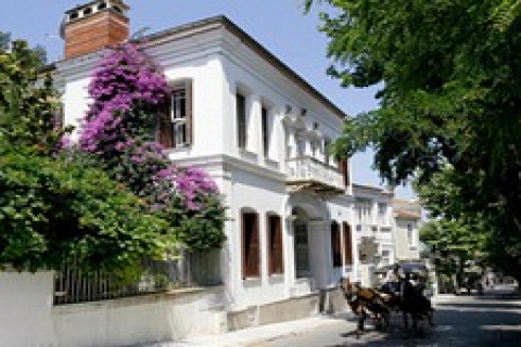 Büyükada'da icradan 6 milyon 475 bin TL'ye satılık ahşap ev!