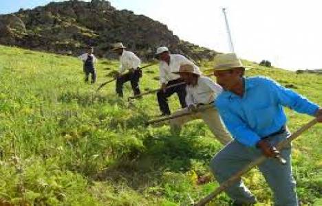 Çiftçi ve üreticilere 1 milyar TL ödenek serbest bırakılacak!