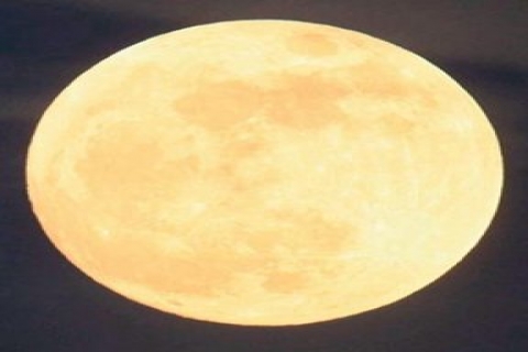  Ay'da 4 dönüm arsa 99 TL! 100 Türk aldı bile!