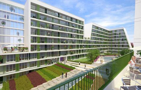 Flex Kurtköy fiyatlar