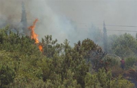  Dilovası'nda yangın çıktı 20 hektar alan kül oldu!