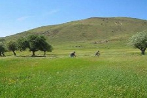 Antalya'da satılık 1 milyon 600 bin TL'ye arazi!