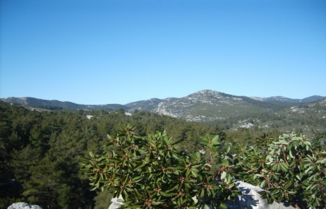  Döşemealtı Belediyesi imarlı konut arsalarını ihaleye çıkarıyor!