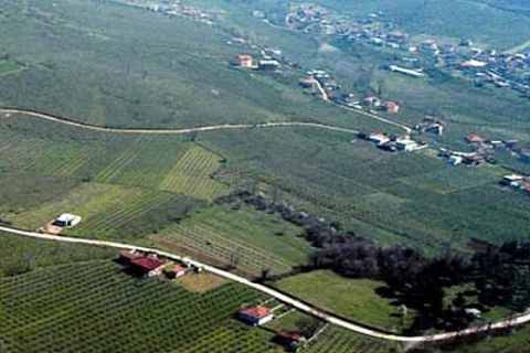 2B tasarısı Meclis Başkanlığı'na sunuldu! 2B arazilerinin akıbeti belli oldu!