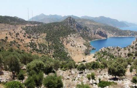 2B Muğla'da ekilecek arazi bırakmadı!