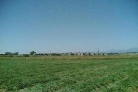 Niğde'de icradan 2 milyon TL'ye satılık arsa!