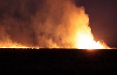 Aydın'da çıkar yangında 300 hektar alan kül oldu!