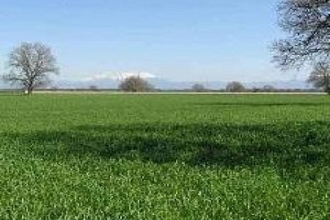 çankırı Belediyesi, 1 milyon 889 bin 343 TL 'ye arsa satıyor!