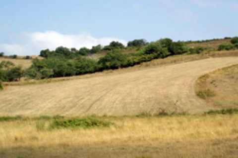 Samsun'da satılık arsa