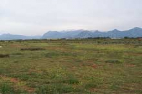 Alaplı Belediyesi 3 arsayı satışa çıkardı