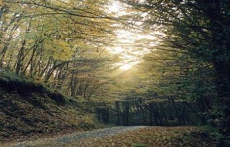 AKC Petrol Ürünleri