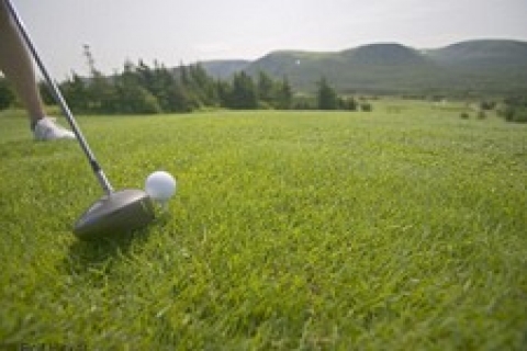 Mavi Yol Girişimi, Bodrum'a yapılacak golf sahalarına karşı!