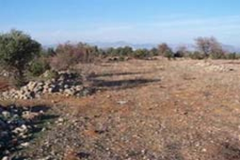 Altındağ Belediyesi 4 gayrimenkul satacak