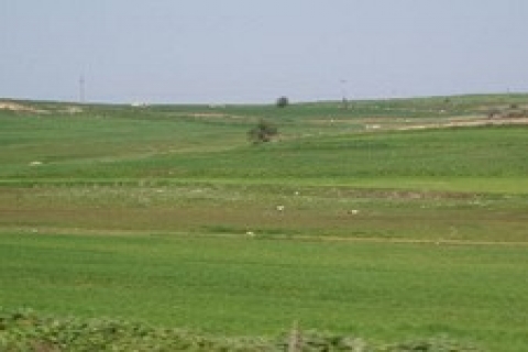 Gebze'de icradan 3.5 milyon TL'ye tarla ve bina!