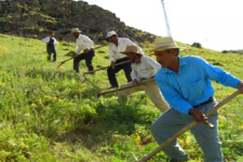 Kredi borcunu ödemeyen çiftçiler icralık