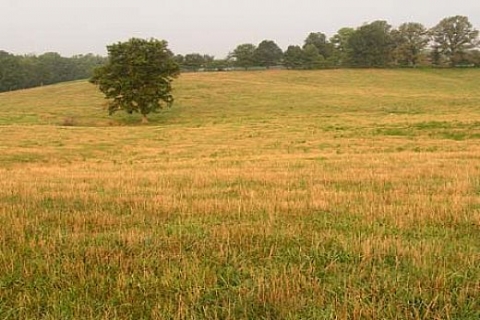 Aksaray Güzelyurt'ta 49 yıllığına iki arazi! 76 bin 500 TL'ye!