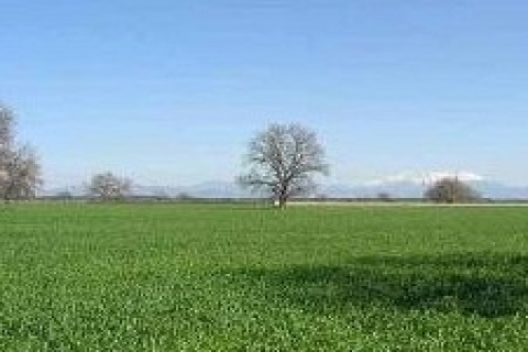 Eceabat Belediyesi, çanakkale 'de 1 milyon 500 bin TL 'ye arsa satıyor!