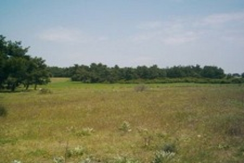 TOKİ, çanakkale Kepez'deki arsayı ihale edecek!