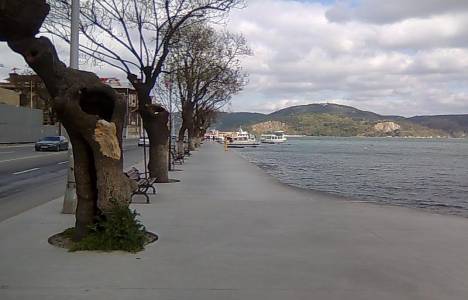 İstanbul 10. İcra'dan Sarıyer'de 2.87 milyon TL'ye satılık tarla!