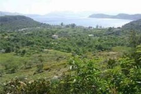 Eyüp'te icradan 716 bin TL'ye satılık arsa!