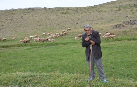Antalya da Yörükler yaylalara taşınıyor!