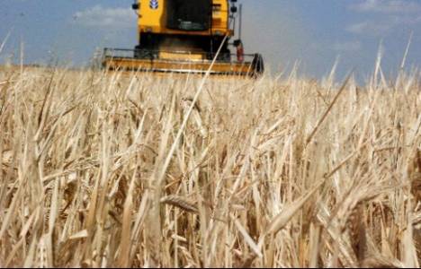 Bağımsız Denetime Tabi Tarım Satış Kooperatif Birliklerinin Belirlenmesi!