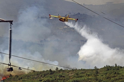 Valencia'daki yangın, 50 bin hektar ormanlık alana zarar verdi!