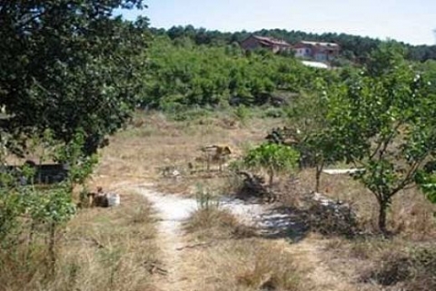 İMO: 2B'de plansız hareket etmenin yansımaları iyi olmayacak!