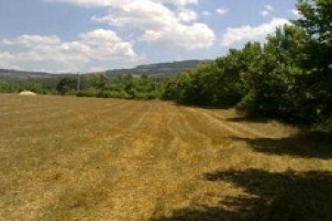 Eskişehir'de icradan 1 milyon 250 bin TL'ye satılık arsa!