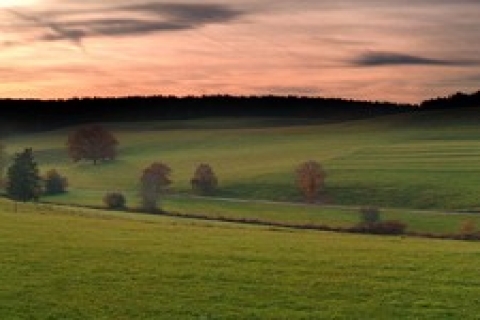 Tarsus Sulh Hukuk Mahkemesi 82 bin 544 TL'ye arsa satıyor!