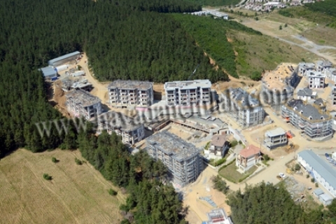  Ant Orman Projesi'nin havadan fotoğrafları!