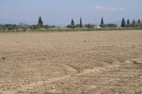 Manisa'da icradan satılık 4 bin 425 metrekare tarla!