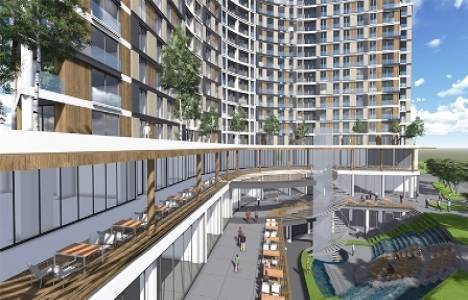 Pashadora ödeme planı!