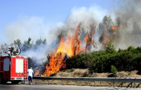 İzmir'deki orman yangınları!