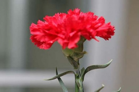 Mim Mimarlık'ın sahibi Hasan Yılmaz hayatını kaybetti!