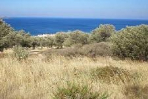 Gönen Belediye Başkanlığı arsa satacak!