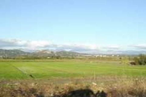 Milli Emlak 6 taşınmazın satışı için ihale açtı