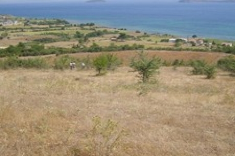 Sakarya'da icradan satılık 1 milyon 534 bin TL'ye!