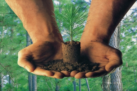  Faber-Castell, sürdürülebilir kalkınmanın resmi sponsoru oldu!