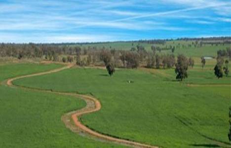 2b arazileri başvurular