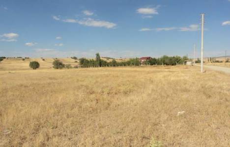  Ankara'da 1 milyon 309 bin TL'ye icradan satılık tarla! 