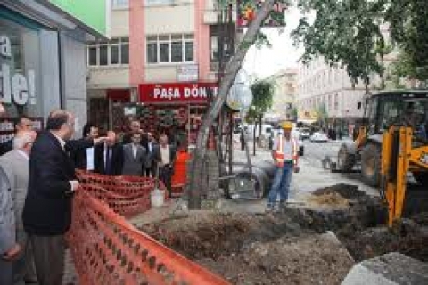  Ağaçlar tek tip olmasa, prestijimiz mi sarsılacak!