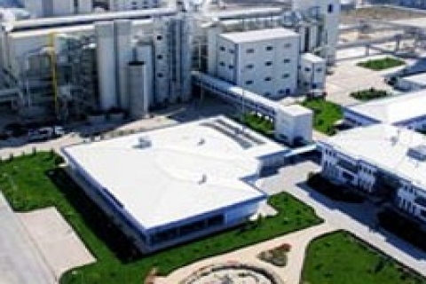 Konya şeker, enerjiye 2 milyar dolar yatıracak!