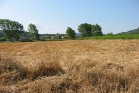 Bağcılar TİM alanında icradan 2.2 milyon TL'ye arsa!