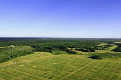 Tarım arazileri mirasla bölünemeyecek