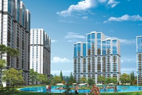 Fiside Premium nerede